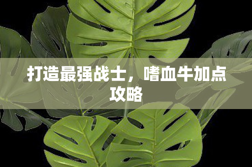 打造最强战士，嗜血牛加点攻略