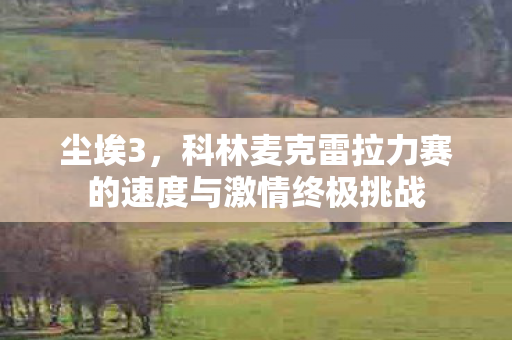 尘埃3,科林麦克雷拉力赛的速度与激情终极挑战 尘埃3,科林麦克雷拉力赛的速度与激情终极挑战