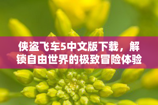侠盗飞车5中文版下载,解锁自由世界的极致冒险体验 侠盗飞车5中文版下载,解锁自由世界的极致冒险体验