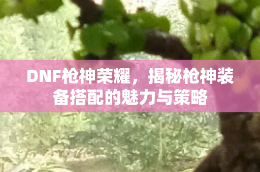 揭秘枪神装备搭配的魅力与策略图片