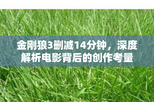 深度解析电影背后的创作考量图片