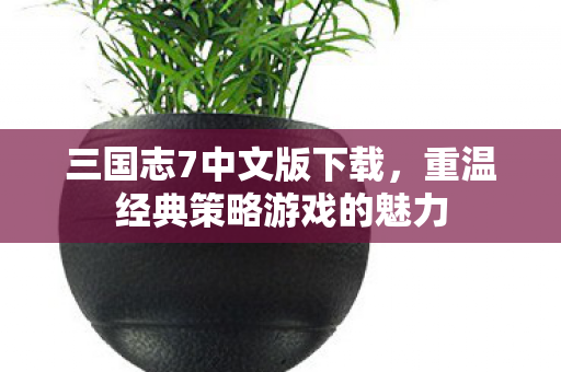 三国志7中文版下载,重温经典策略游戏的魅力 三国志7中文版下载,重温经典策略游戏的魅力