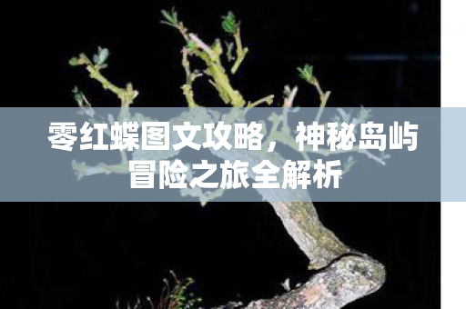 零红蝶图文攻略,神秘岛屿冒险之旅全解析 零红蝶图文攻略,神秘岛屿冒险之旅全解析