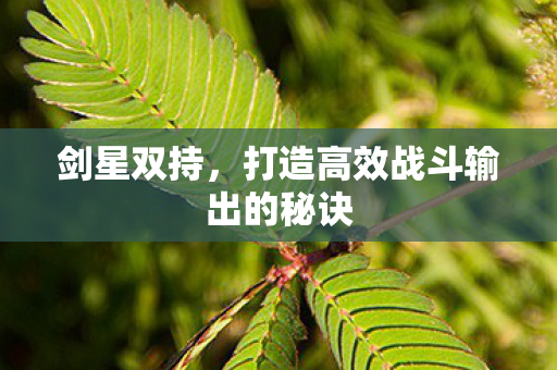 打造高效战斗输出的秘诀图片