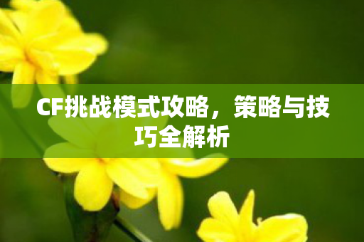 CF挑战模式攻略图片