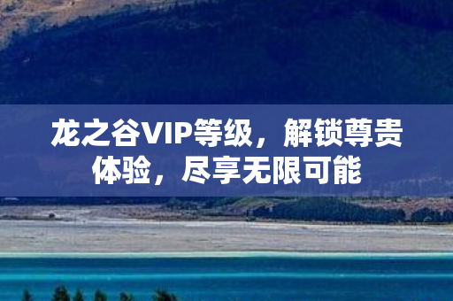 龙之谷VIP等级图片
