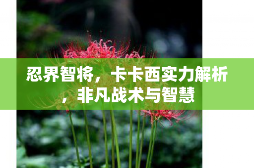 忍界智将,卡卡西实力解析,非凡战术与智慧 忍界智将,卡卡西实力解析,非凡战术与智慧