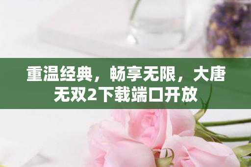 重温经典,畅享无限,大唐无双2下载端口开放 重温经典,畅享无限,大唐无双2下载端口开放