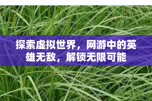 探索虚拟世界,网游中的英雄无敌,解锁无限可能 探索虚拟世界,网游中的英雄无敌,解锁无限可能