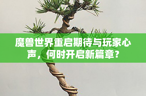 魔兽世界重启期待与玩家心声,何时开启新篇章? 魔兽世界重启期待与玩家心声,何时开启新篇章?