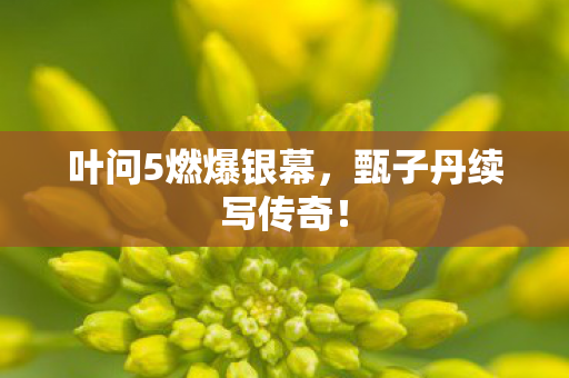 叶问5燃爆银幕,甄子丹续写传奇! 叶问5燃爆银幕,甄子丹续写传奇!