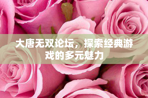 大唐无双论坛,探索经典游戏的多元魅力 大唐无双论坛,探索经典游戏的多元魅力
