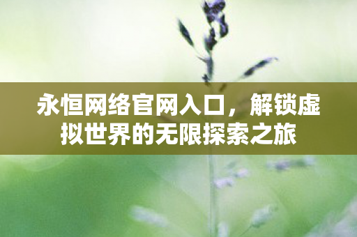 永恒网络官网入口，解锁虚拟世界的无限探索之旅
