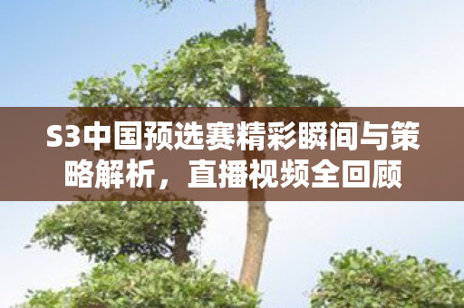 S3中国预选赛精彩瞬间与策略解析，直播视频全回顾