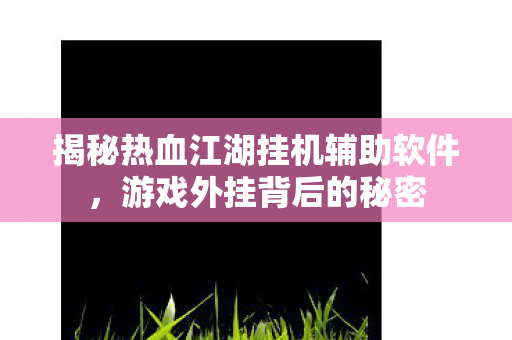 揭秘热血江湖挂机辅助软件，游戏外挂背后的秘密