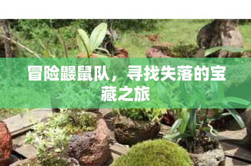 冒险鼹鼠队,寻找失落的宝藏之旅 冒险鼹鼠队,寻找失落的宝藏之旅