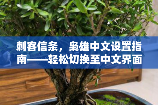 轻松切换至中文界面图片