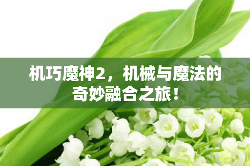 机巧魔神2，机械与魔法的奇妙融合之旅！