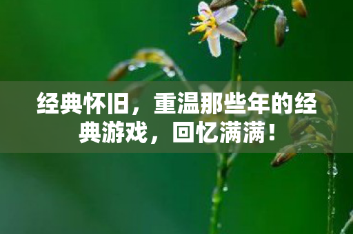 经典怀旧，重温那些年的经典游戏，回忆满满！
