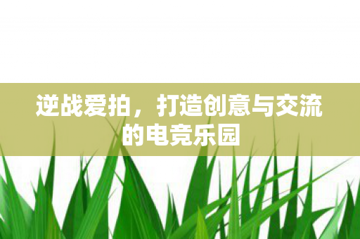 打造创意与交流的电竞乐园图片