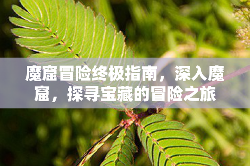 探寻宝藏的冒险之旅图片