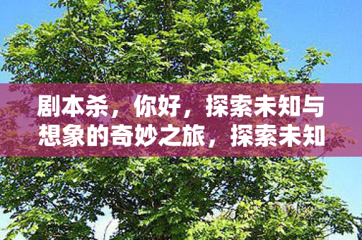探索未知与想象的奇妙之旅图片