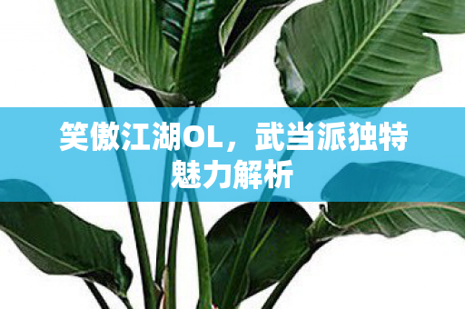 武当派独特魅力解析图片
