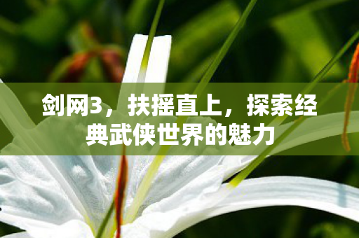 探索经典武侠世界的魅力图片