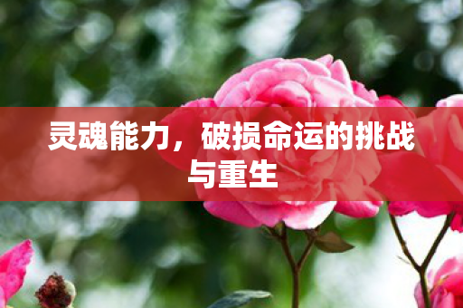 灵魂能力，破损命运的挑战与重生