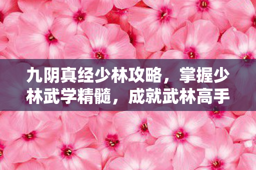 九阴真经少林攻略图片