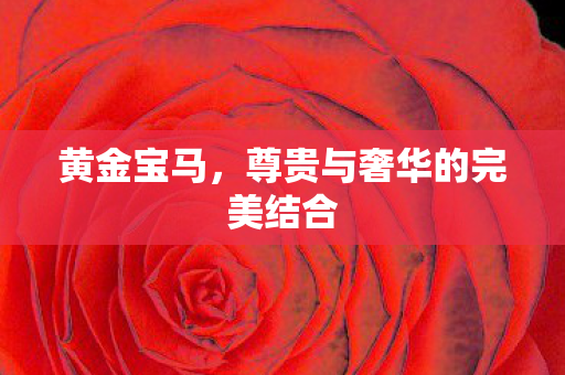 黄金宝马,尊贵与奢华的完美结合 黄金宝马,尊贵与奢华的完美结合