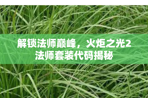 火炬之光2法师套装代码揭秘图片