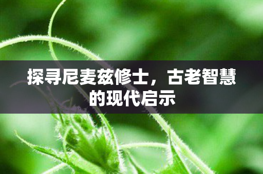 探寻尼麦兹修士,古老智慧的现代启示 探寻尼麦兹修士,古老智慧的现代启示