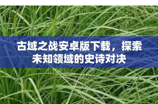 古域之战安卓版下载,探索未知领域的史诗对决 古域之战安卓版下载,探索未知领域的史诗对决