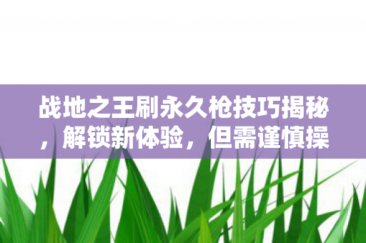 战地之王刷永久枪技巧揭秘，解锁新体验，但需谨慎操作