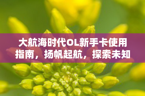 大航海时代OL新手卡使用指南图片