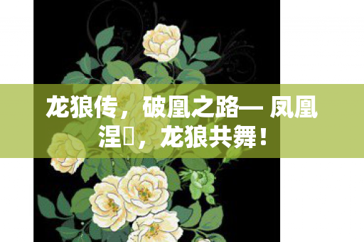破凰之路图片