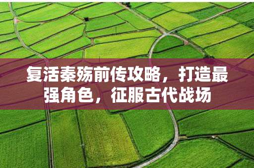 复活秦殇前传攻略图片