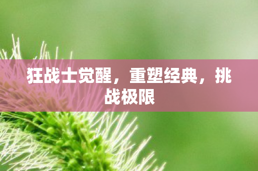 狂战士觉醒图片