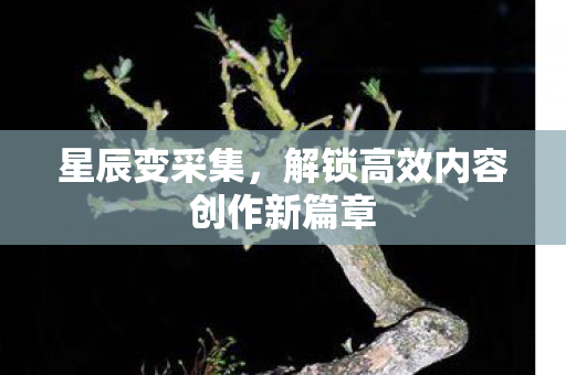 星辰变采集,解锁高效内容创作新篇章 星辰变采集,解锁高效内容创作新篇章