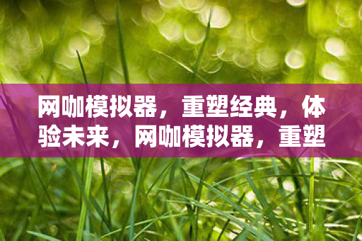 网咖模拟器图片