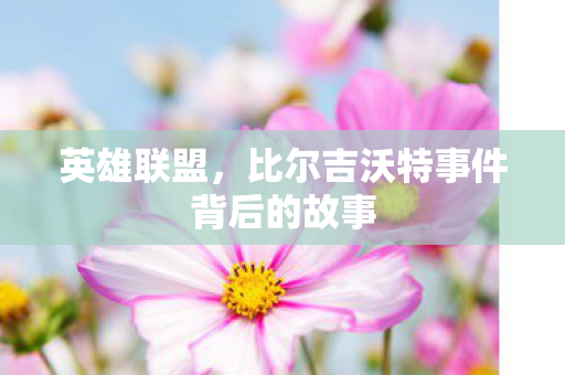 比尔吉沃特事件背后的故事图片