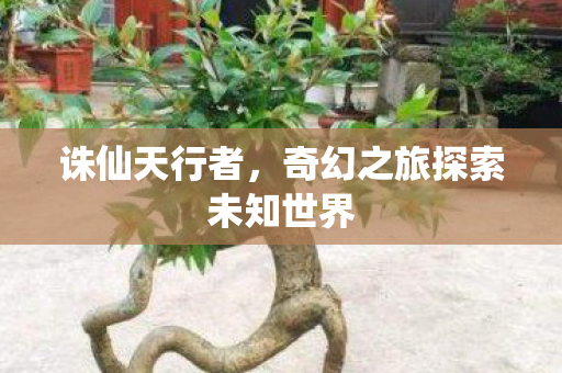 奇幻之旅探索未知世界图片