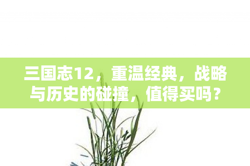战略与历史的碰撞图片