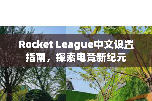 Rocket League中文设置指南,探索电竞新纪元 Rocket League中文设置指南,探索电竞新纪元