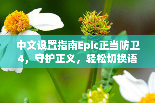 中文设置指南Epic正当防卫4,守护正义,轻松切换语言设置! 中文设置指南Epic正当防卫4,守护正义,轻松切换语言设置!