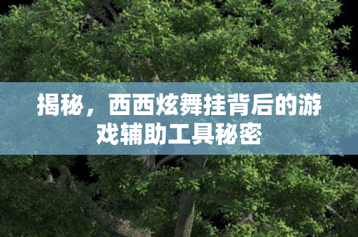 西西炫舞挂背后的游戏辅助工具秘密图片