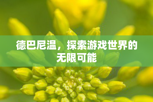 德巴尼温，探索游戏世界的无限可能