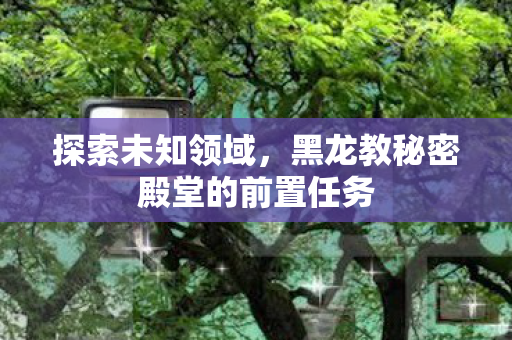 探索未知领域，黑龙教秘密殿堂的前置任务