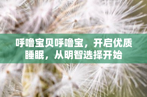 呼噜宝贝呼噜宝,开启优质睡眠,从明智选择开始 呼噜宝贝呼噜宝,开启优质睡眠,从明智选择开始